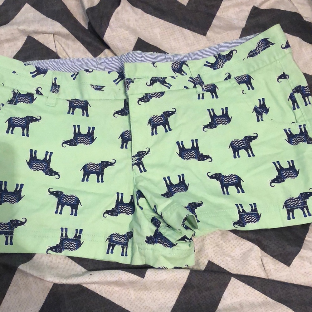 Mint Green Shorts